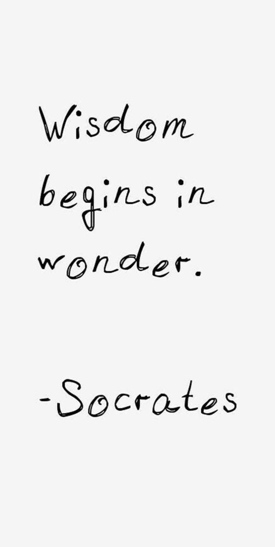 Socrates — wisdom begins in wonder